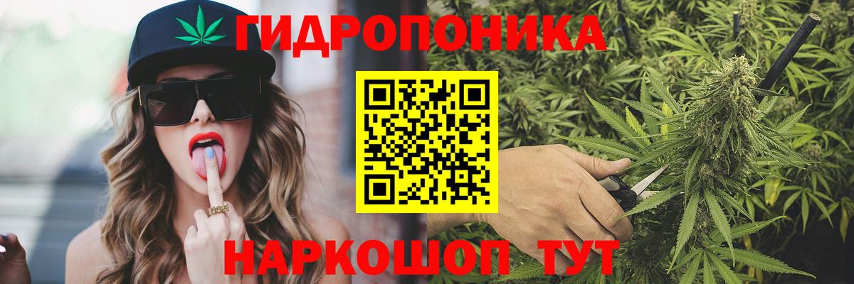 Канабис сатива  Бошки марихуана OG Kush  Вход с VPN  Марихуана семена  Каспийск 